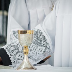 Festa de Nossa Senhora Aparecida